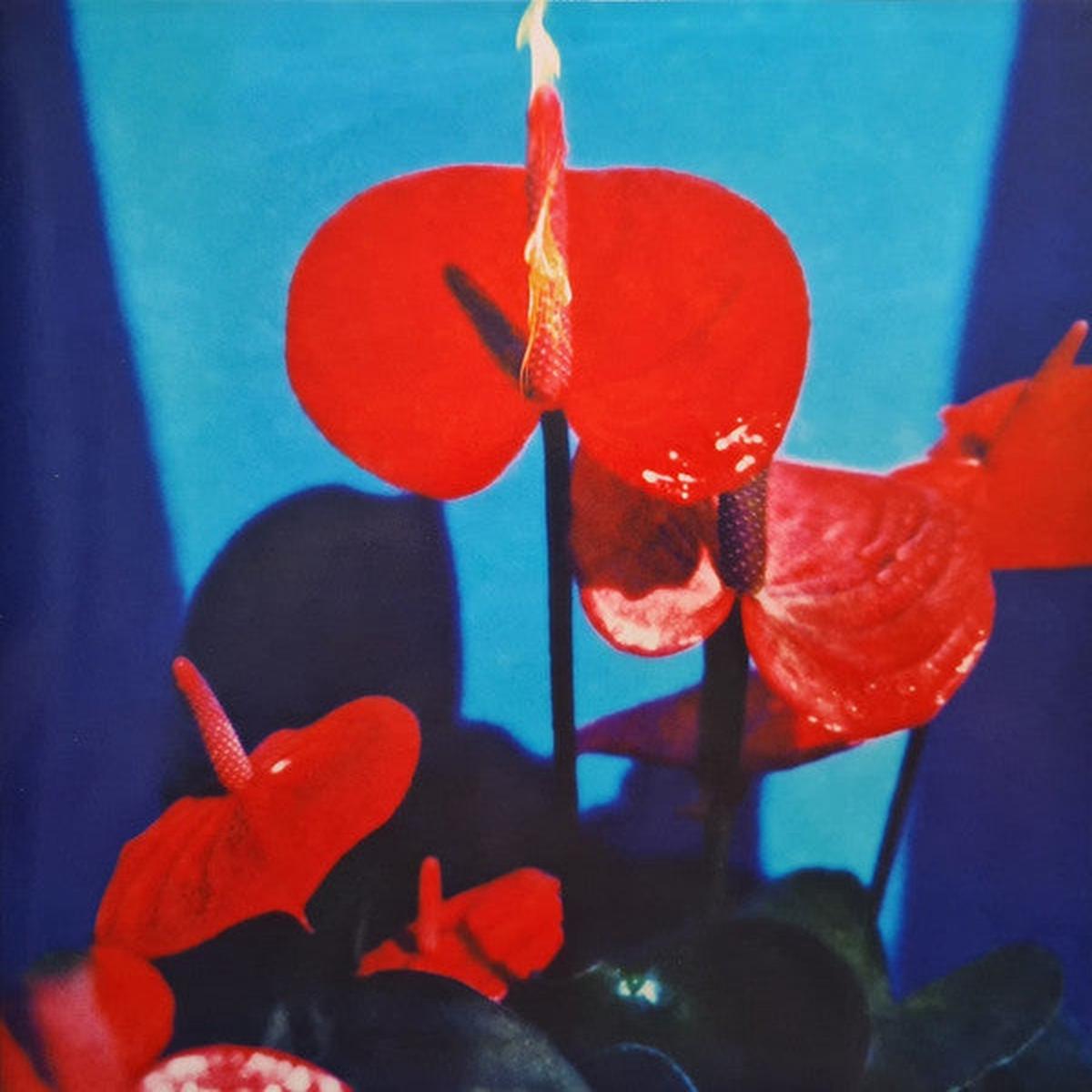 INHALER – OPEN WIDE : RED MARBLE VINYL – LP