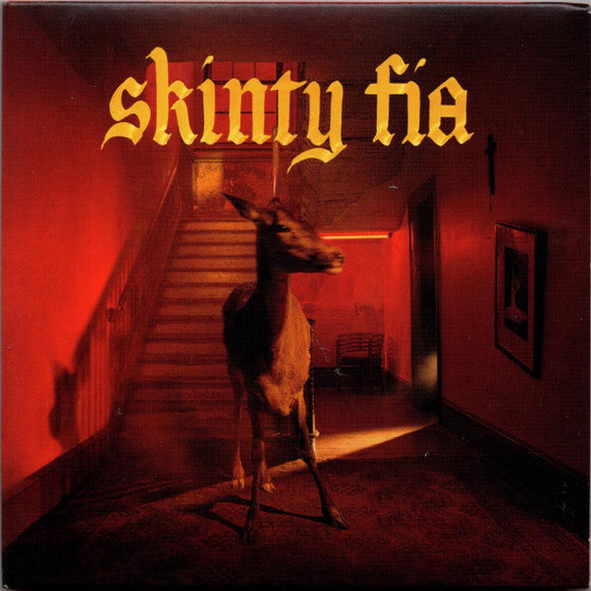 FONTAINES DC – SKINTY FIA – CD