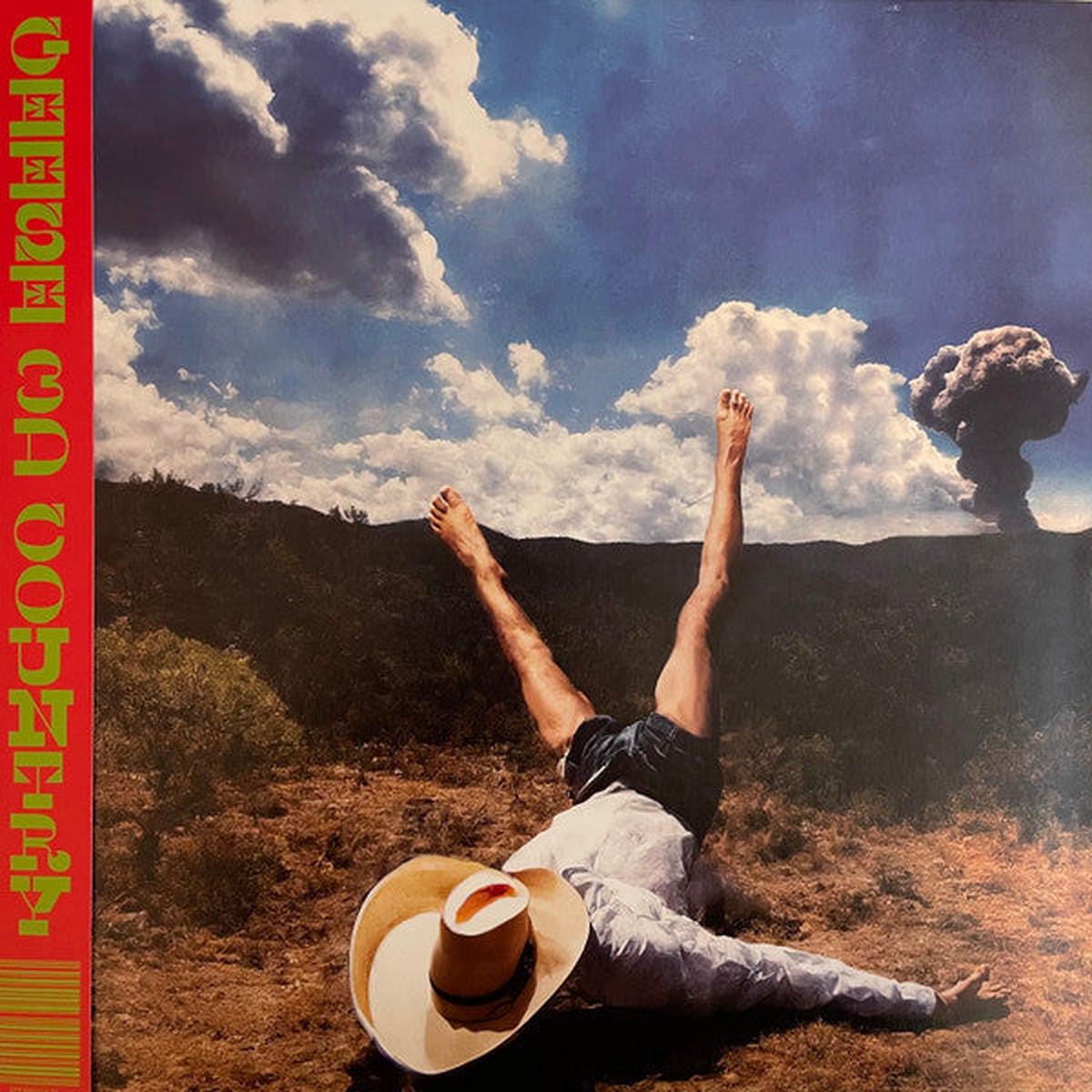 GEESE – 3D COUNTRY – LP