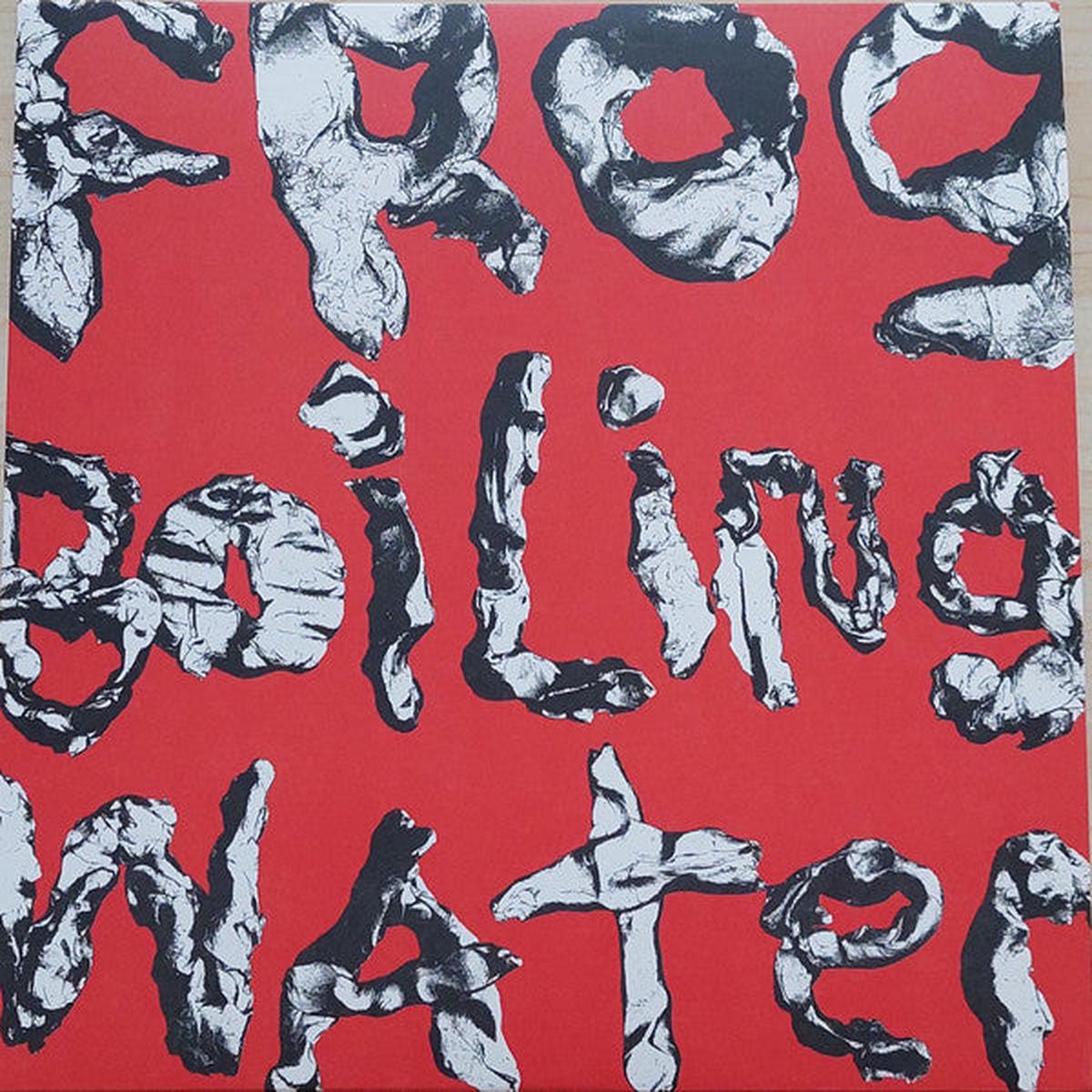 DIIV – FROG IN BOILING WATER : BLACK VINYL – LP