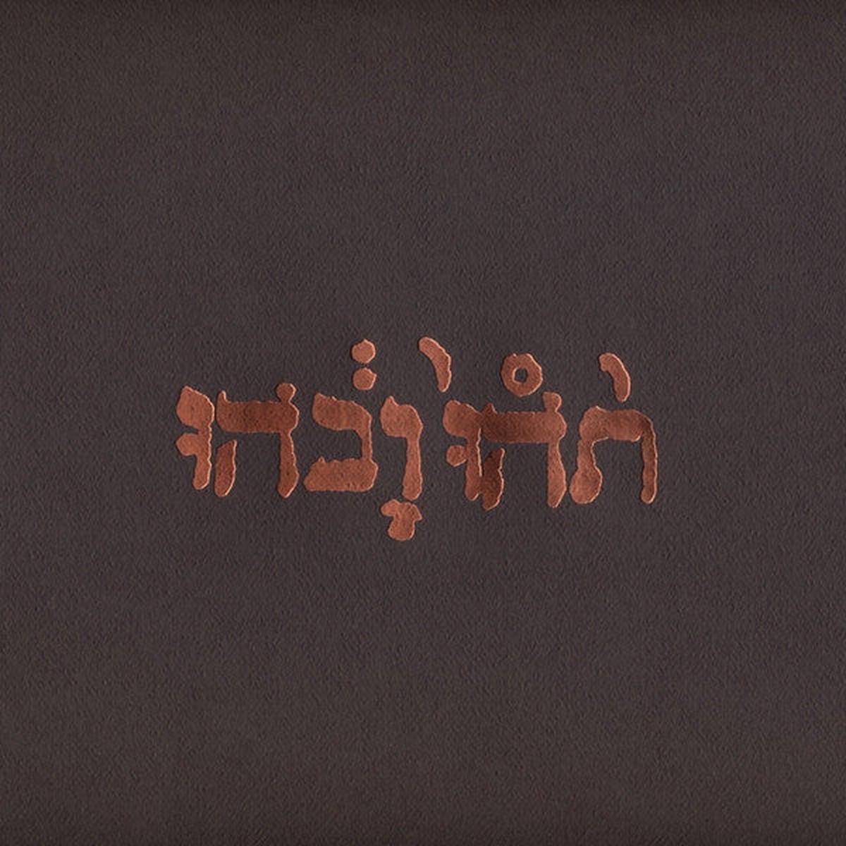 GODSPEED YOU BLACK EMPEROR! – SLOW RIOT FOR NEW ZERO – LP