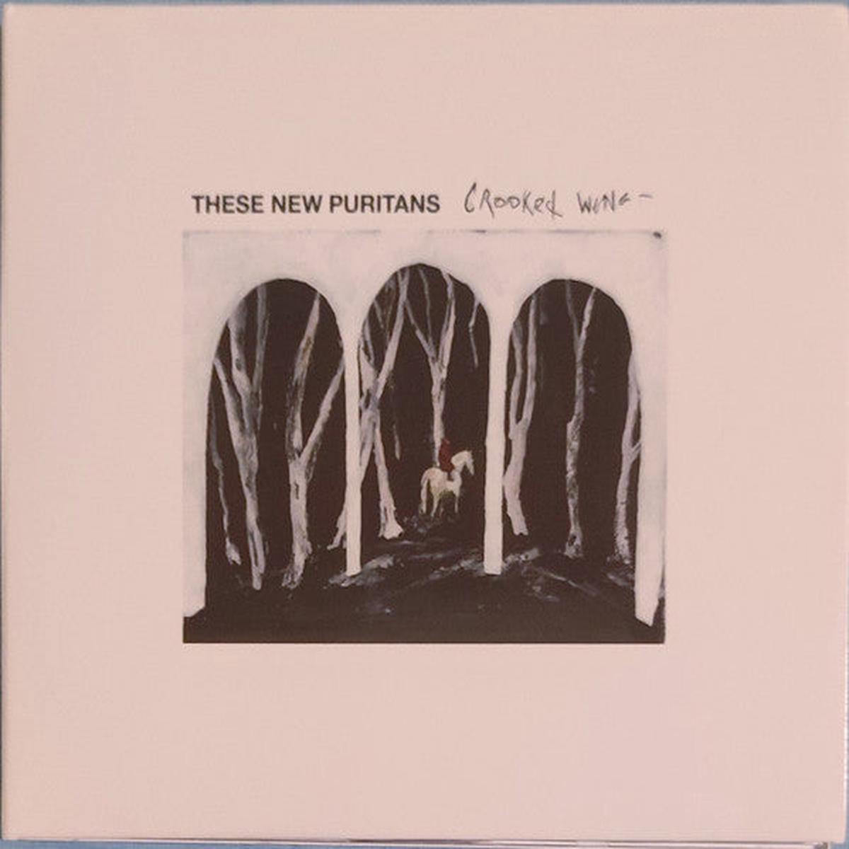 THESE NEW PURITANS – CROOKED WING – CD