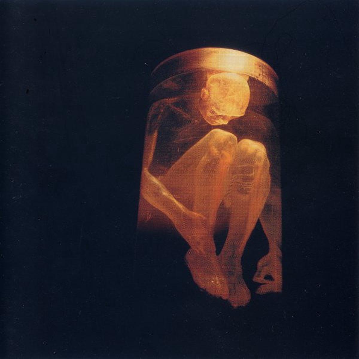 ALICE IN CHAINS – NOTHING SAFE : BEST OF – CD