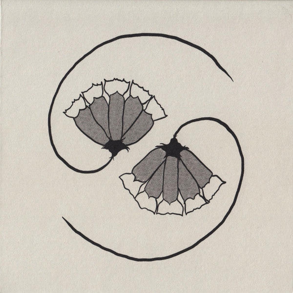 GODSPEED YOU! BLACK EMPEROR – G_D’S PEE AT STATE’S END! – CD