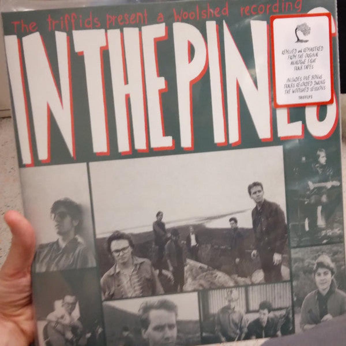 TRIFFIDS – IN THE PINES : RED 2LP (2024 REISSUE) – LP