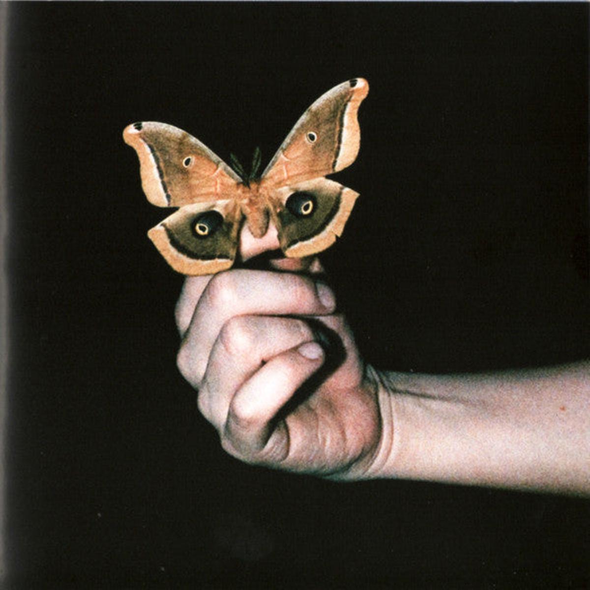 SOULWAX – ALL SYSTEMS ARE LYING : TRANSPARENT 2LP – LP