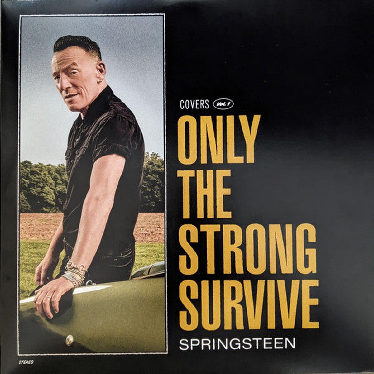 SPRINGSTEEN, BRUCE – ONLY THE STRONG SURVIVE : 2LP SET – LP