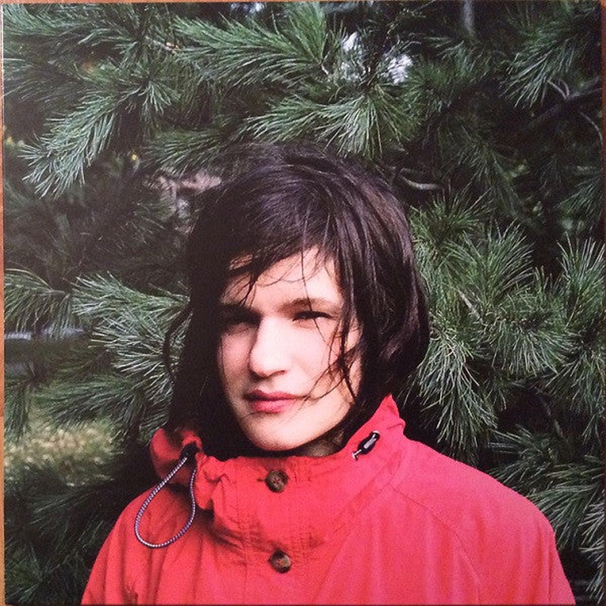 LENKER, ADRIANNE – HOURS WERE THE BIRDS – LP