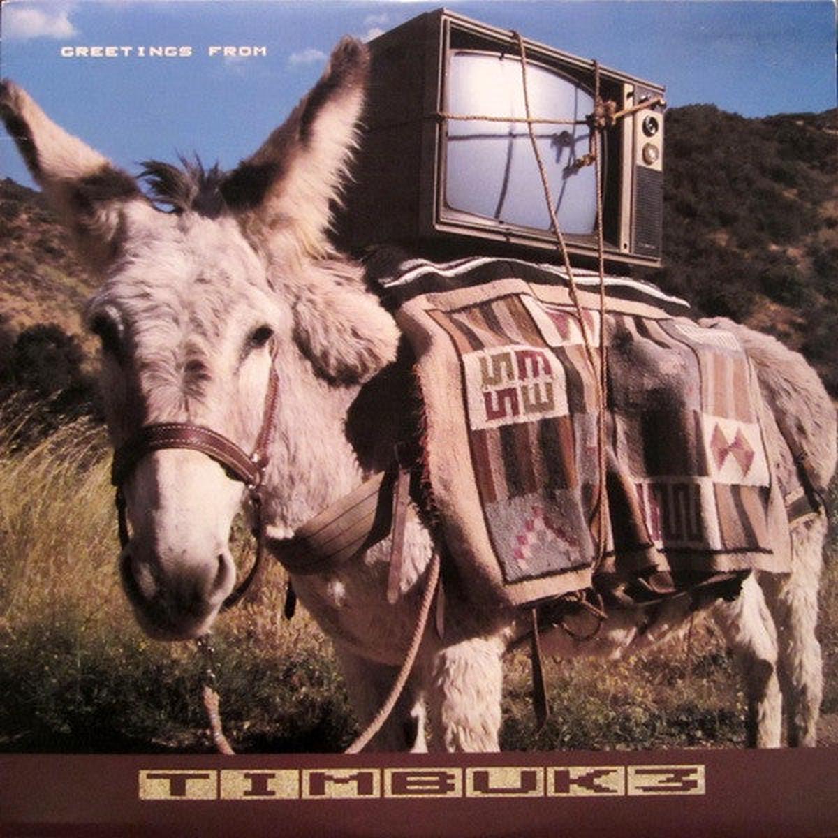 TIMBUK 3 – GREETINGS FROM TIMBUK 3 (US PRESS) – LP