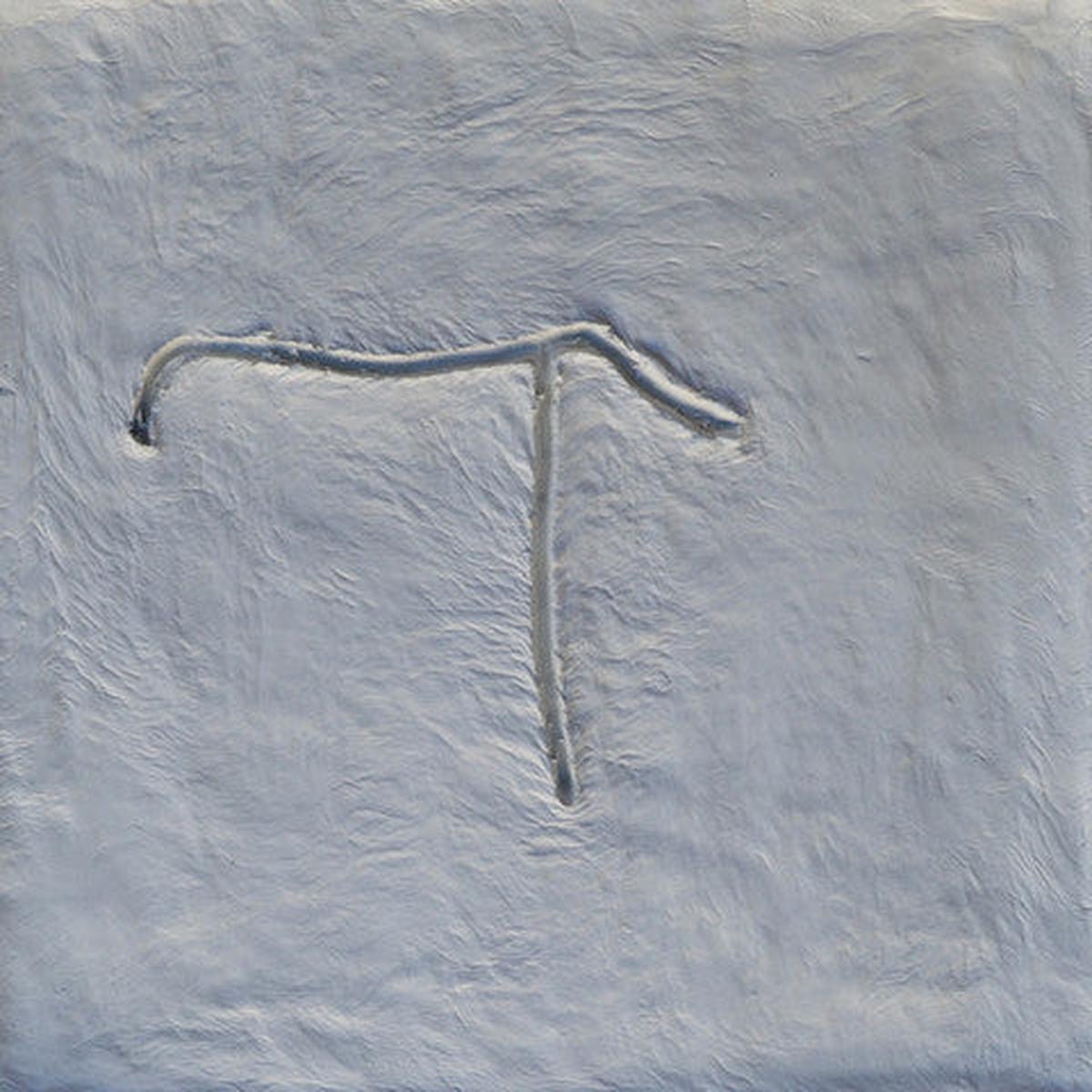 XYLOURIS WHITE – GOATS – CD