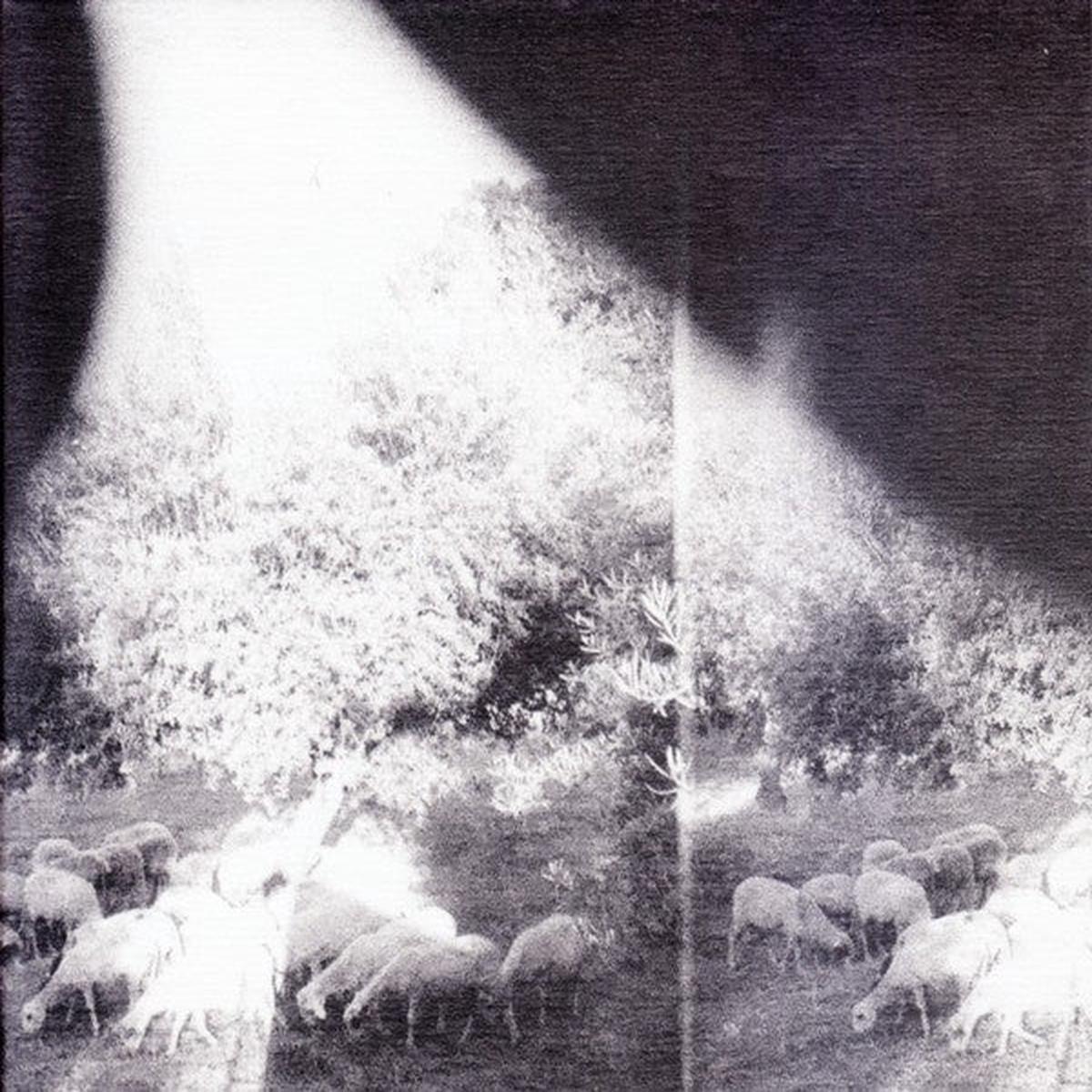 GODSPEED YOU BLACK EMPEROR – ASUNDER SWEET & OTHER DISTRESS – CD