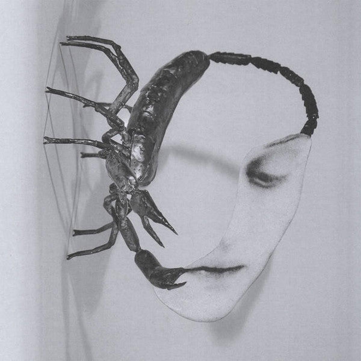 TORTOISE – TOUCH – CD