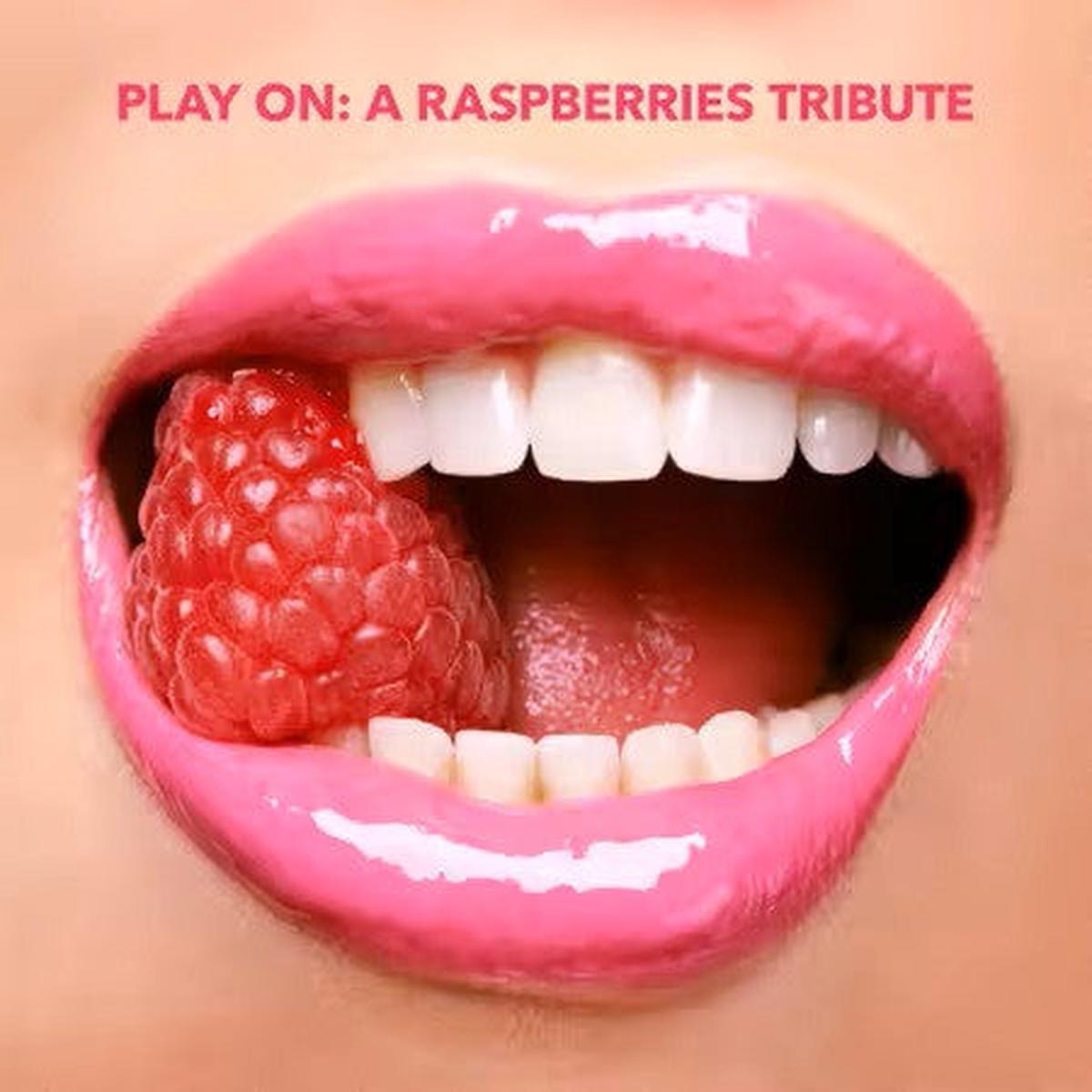 RASPBERRIES / TRIBUTE – PLAY ON : RASPBERRIES TRIBUTE (2CD SET) – CD