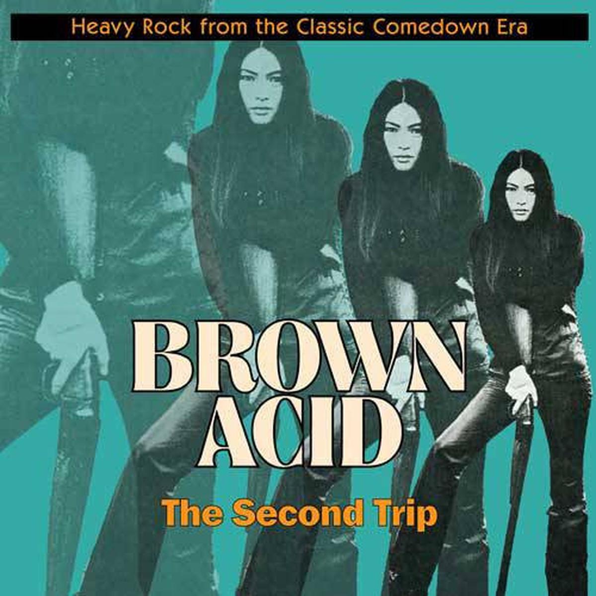 VARIOUS – BROWN ACID : TWELFTH TRIP – CD