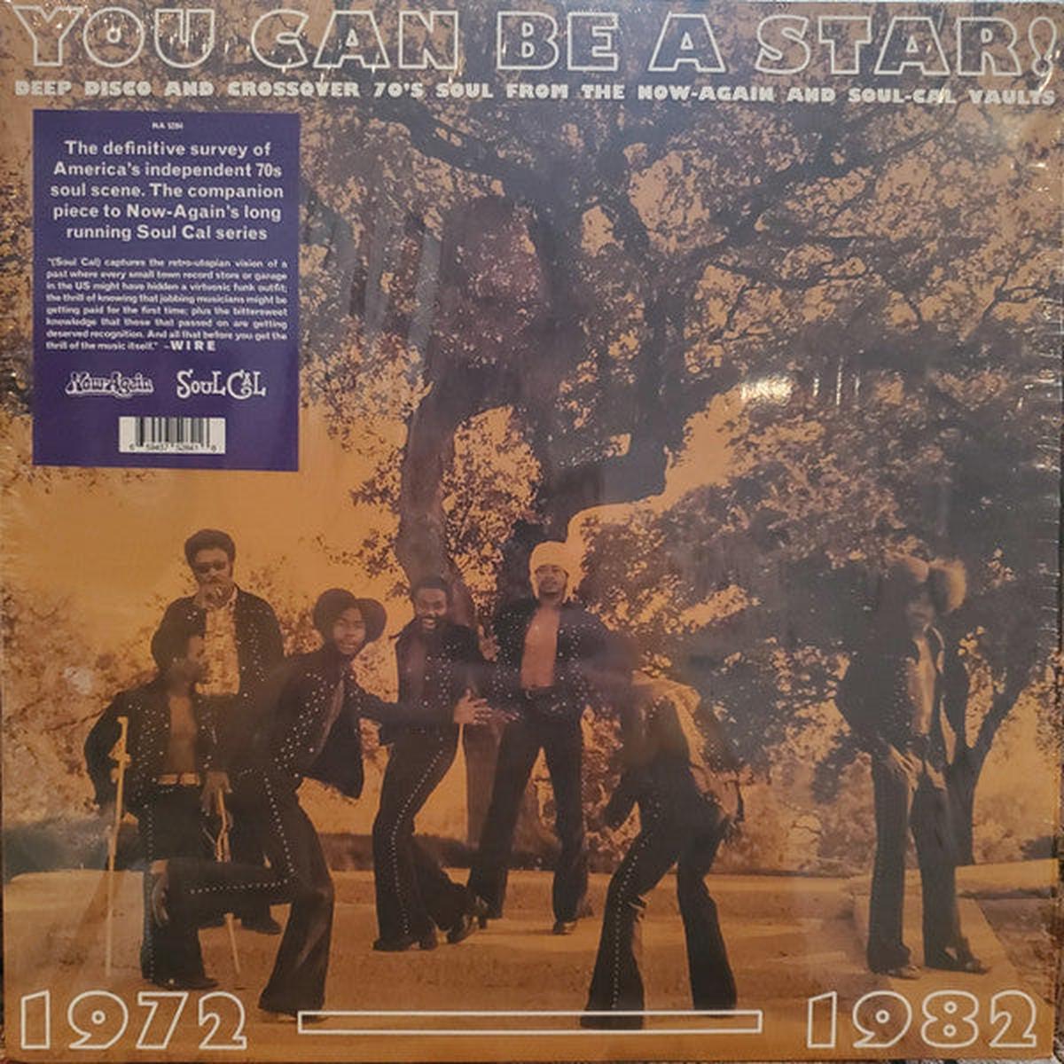 VARIOUS – YOU CAN BE A STAR!: DEEP DISCO & CROSSOV – LP