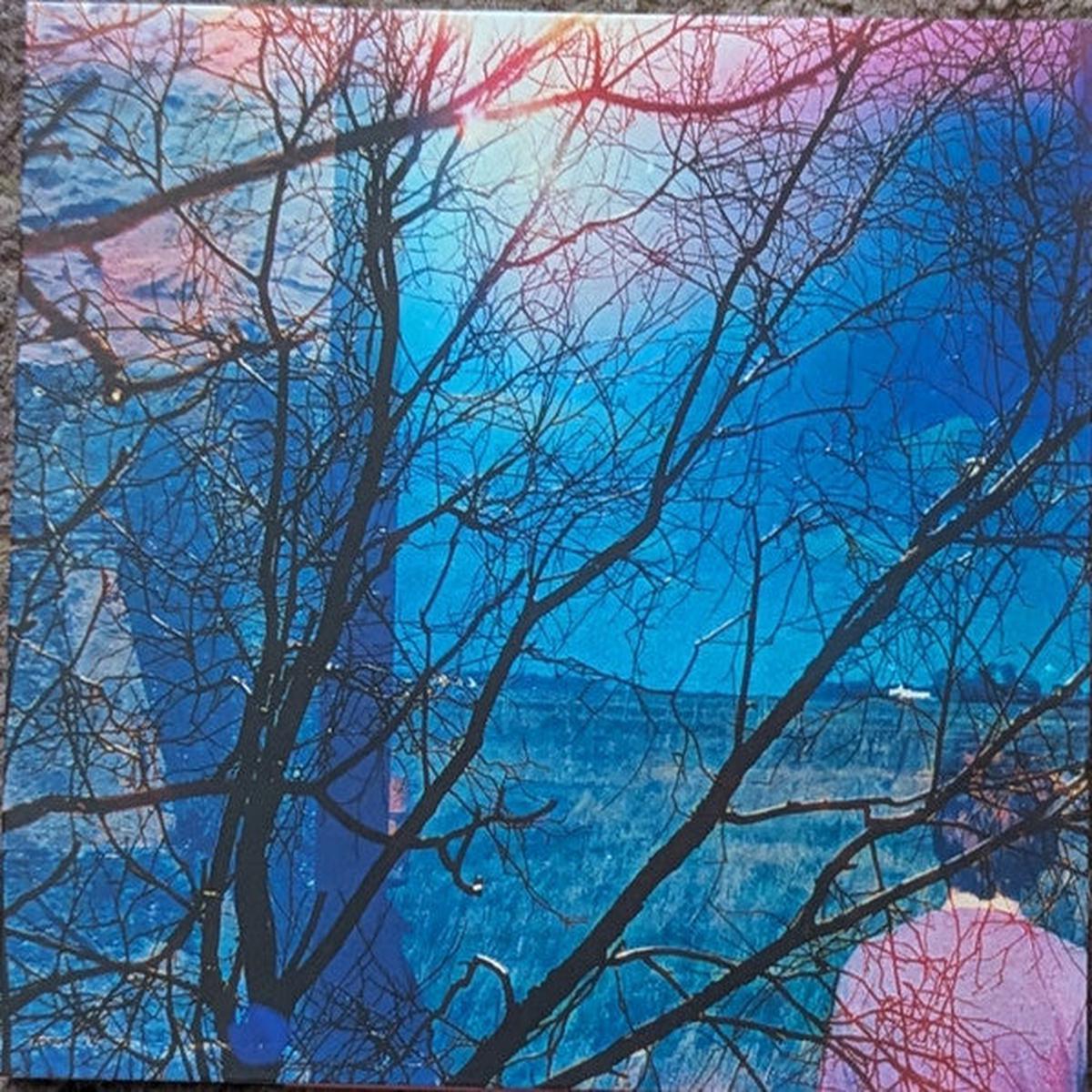 IDLEWILD – IDLEWILD (2025) – CD
