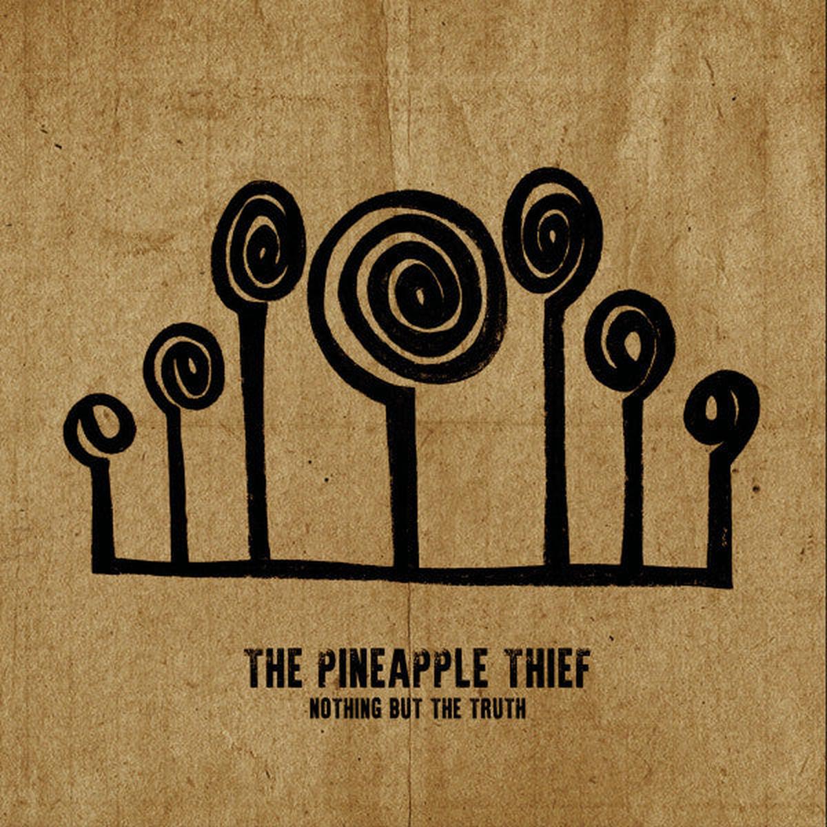 PINEAPPLE THIEF – NOTHING BUT THE TRUTH (2CD) – CD