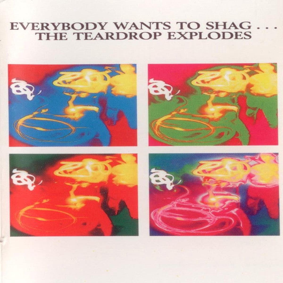TEARDROP EXPLODES – EVERYBODY WANTS TO SHAG (CASSETTE) – CS