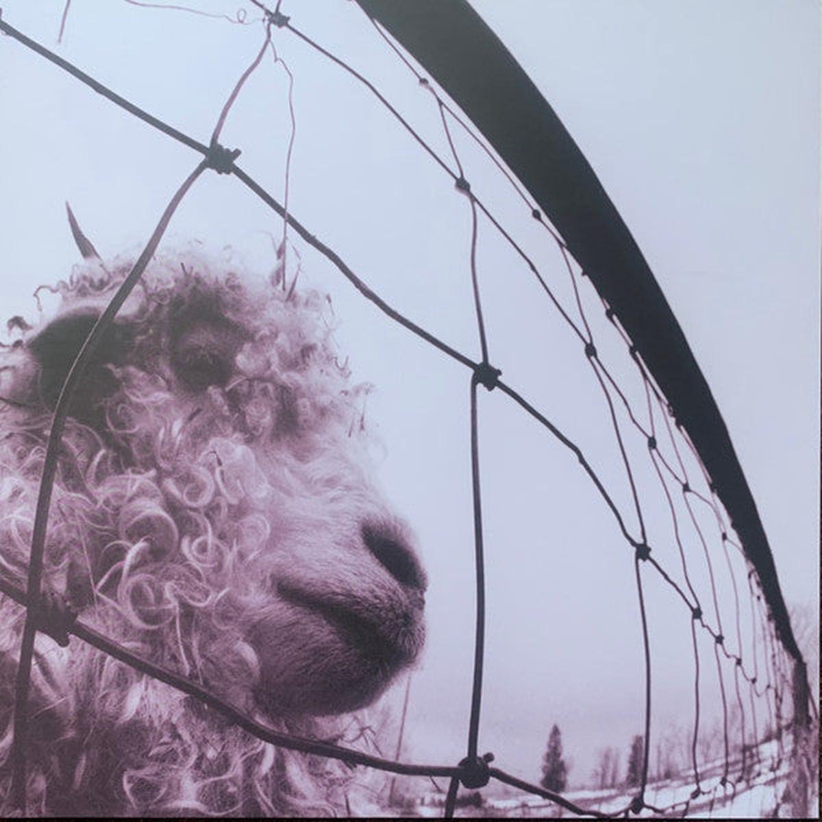 PEARL JAM – VS : CLEAR VINYL 30TH ANNIVERSARY – LP