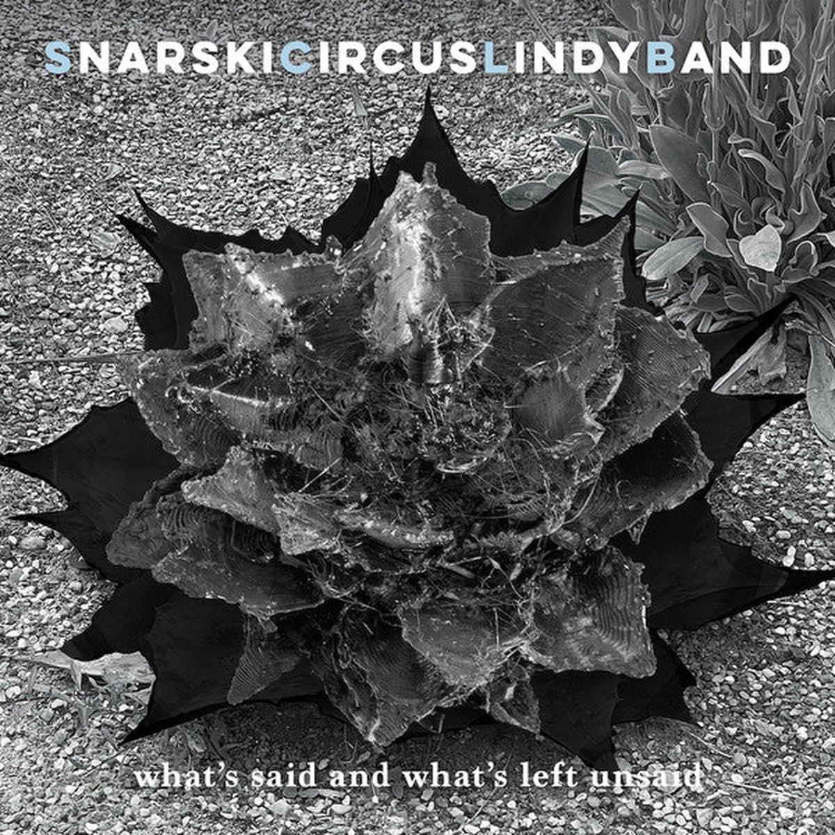 SNARSKICIRCUSLINDYBAND – WHAT’S SAID AND WHAT’S LEFT UNSAID – CD