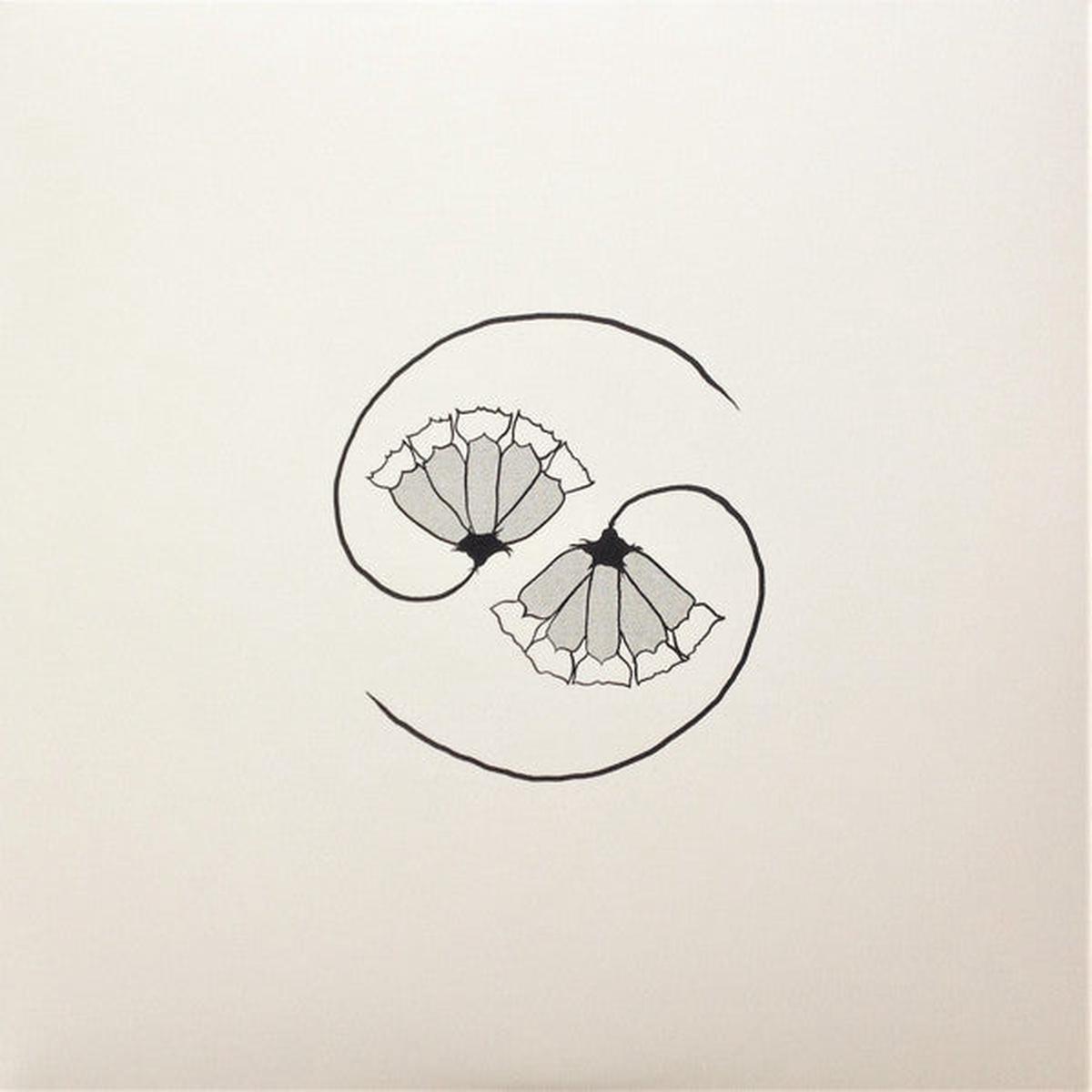GODSPEED YOU BLACK EMPEROR – G_D’S PEE AT STATE’S END! : LP + 10″ SET – LP