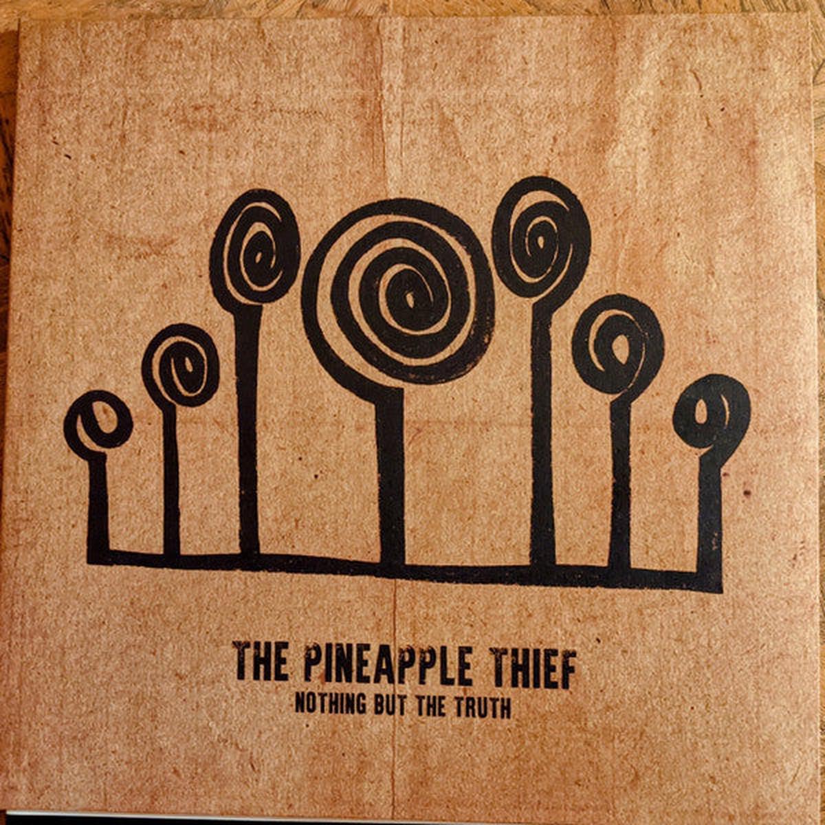 PINEAPPLE THIEF – NOTHING BUT THE TRUTH (2LP) – LP