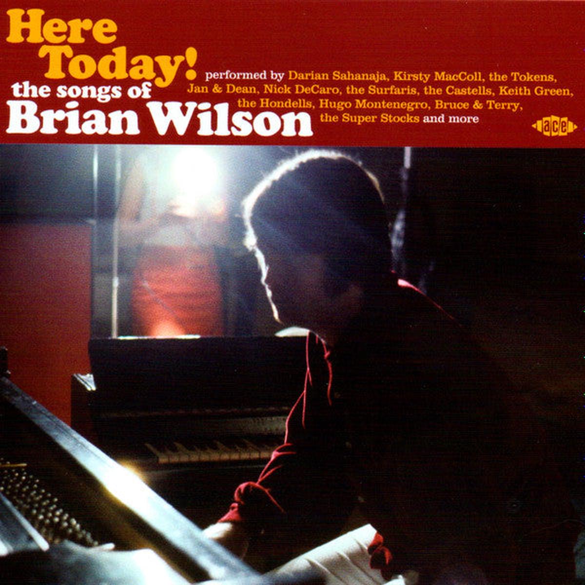 WILSON, BRIAN / VARIOUS – HERE TODAY! : SONGS OF BRIAN WILSON – CD