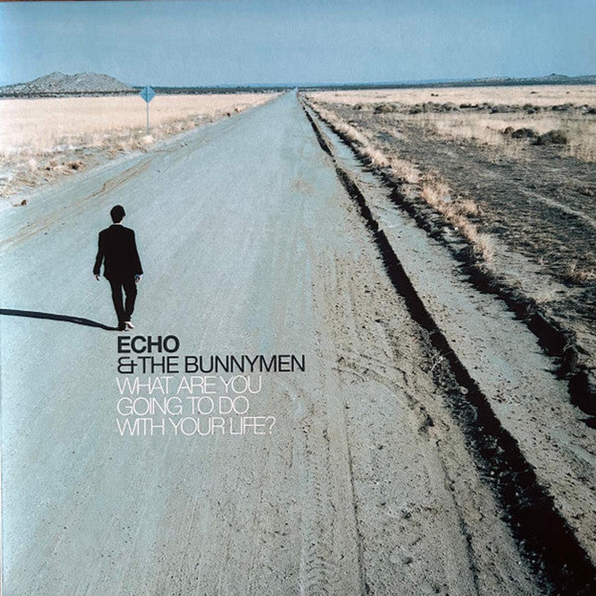 ECHO & THE BUNNYMEN – WHAT ARE YOU GOING TO DO … : TURQUOISE – LP