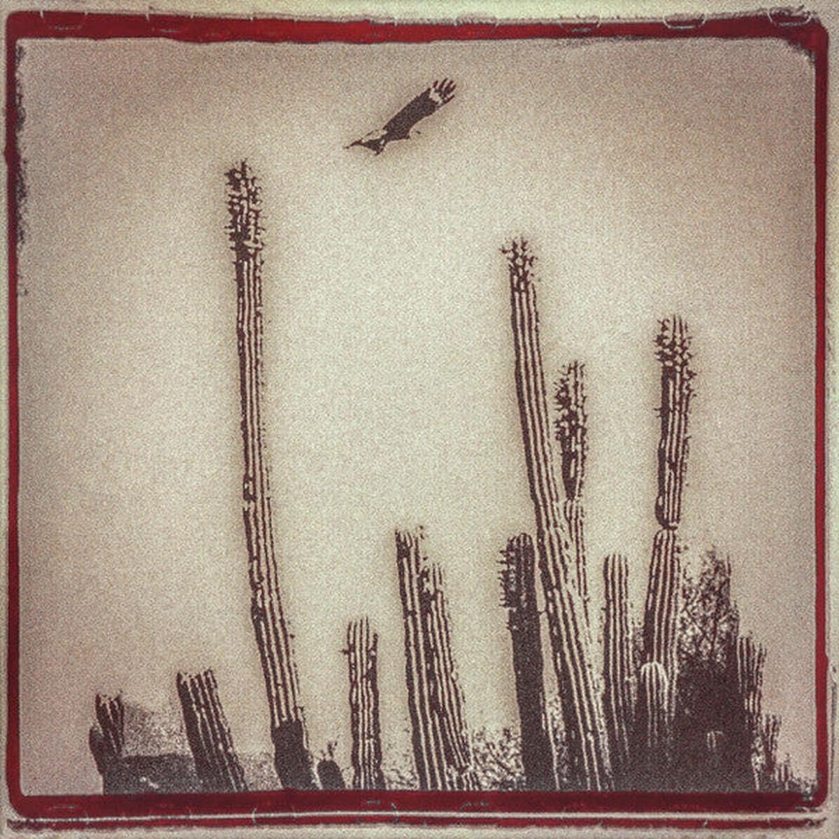 ESCOVEDO, ALEJANDRO – LA CRUZADA : BONE COLOURED VINYL (2LP) – LP