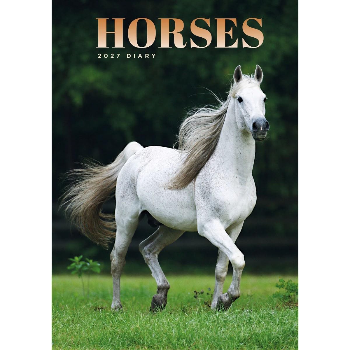 Carousel Worldwide 2027 Horses Diary, A5 Week to View Planner, Wire-O