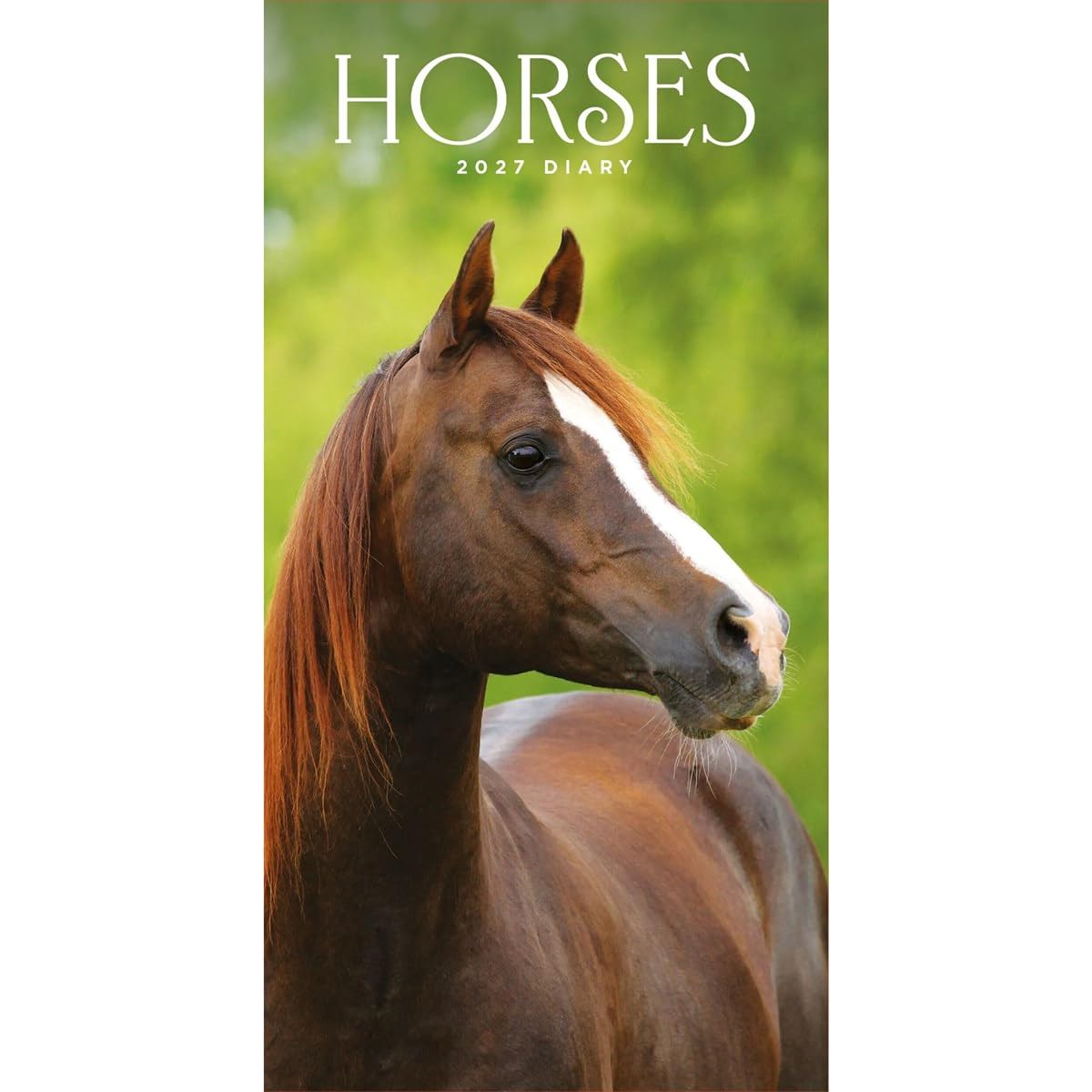 Carousel Worldwide 2027 Horses Diary, Slim Week to View
