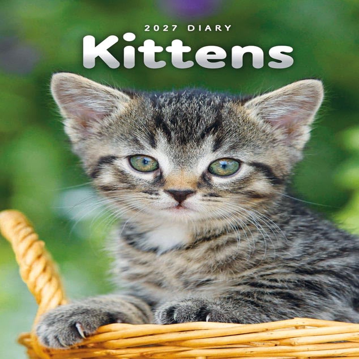 Carousel Worldwide 2027 Kittens Diary, A5 Week to View Planner, Wire-O