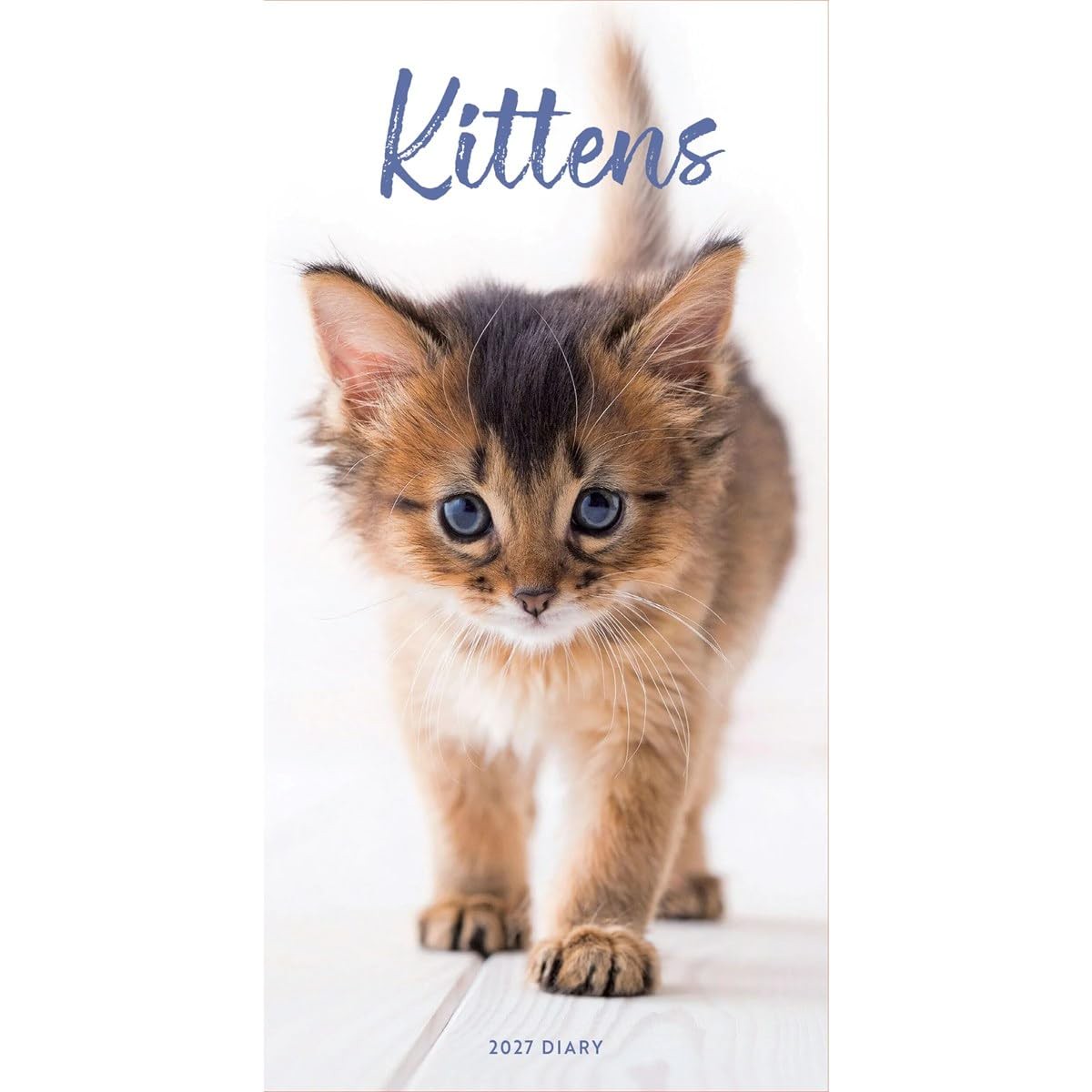 Carousel Worldwide 2027 Kittens Diary, Slim Week to View