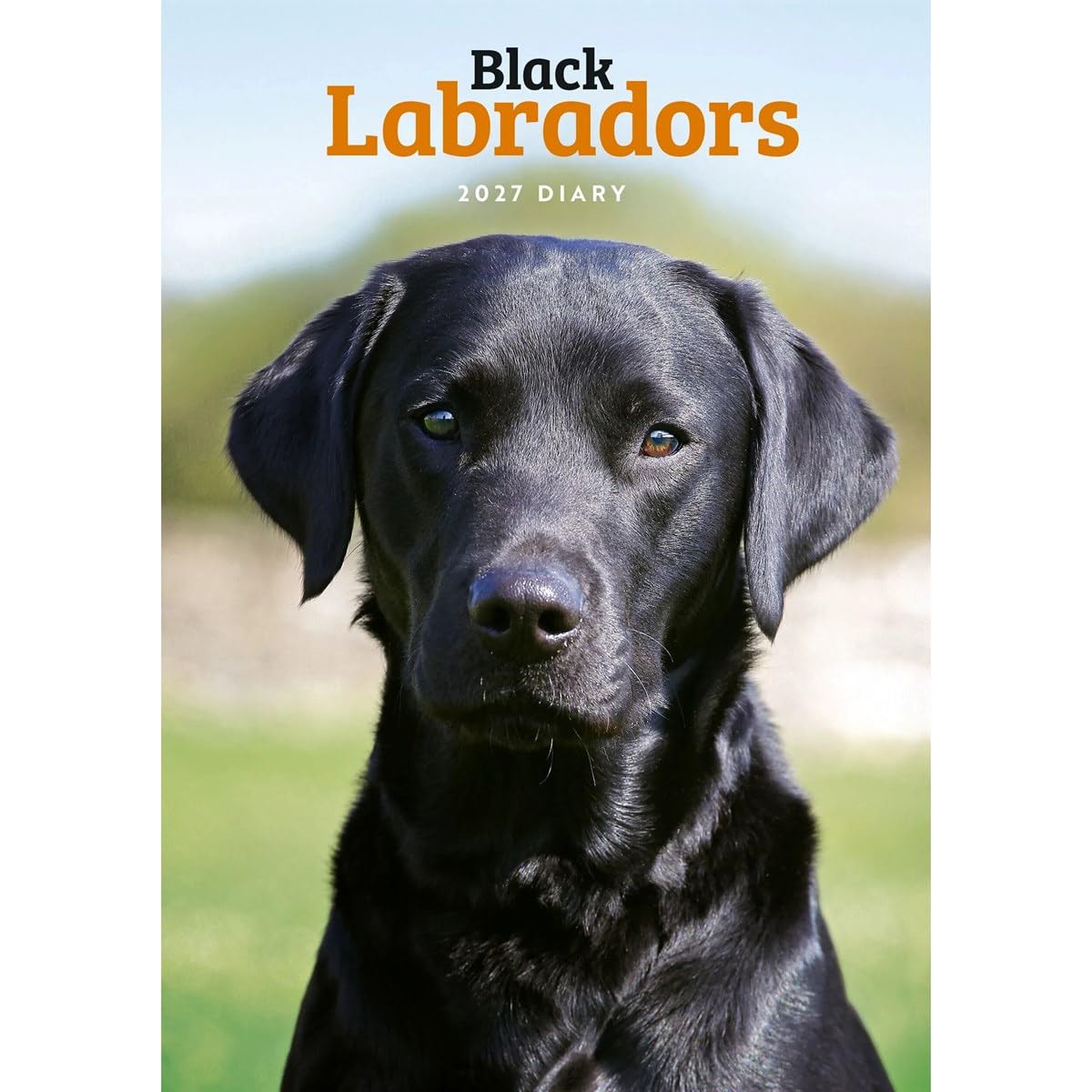 Carousel Worldwide 2027 Labrador Retrievers (Black) Diary, A5 Week to View Planner, Wire-O