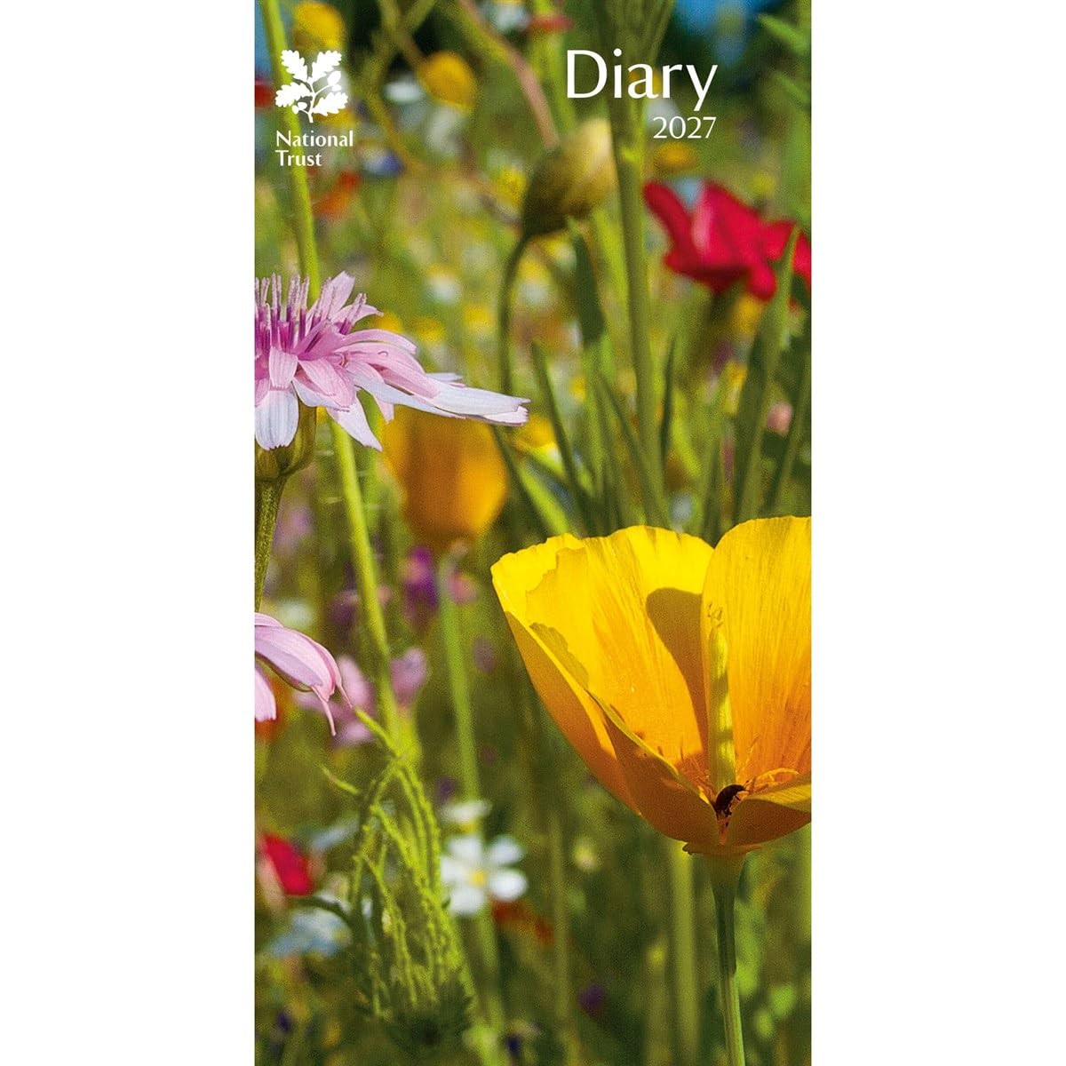 Carousel Worldwide 2027 National Trust Diary, Slim Week to View, Deluxe