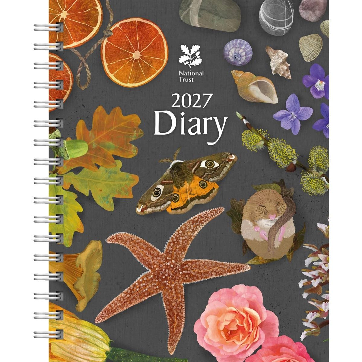 Carousel Worldwide 2027 National Trust Illustrated Diary, Week to View, Deluxe Wire-O