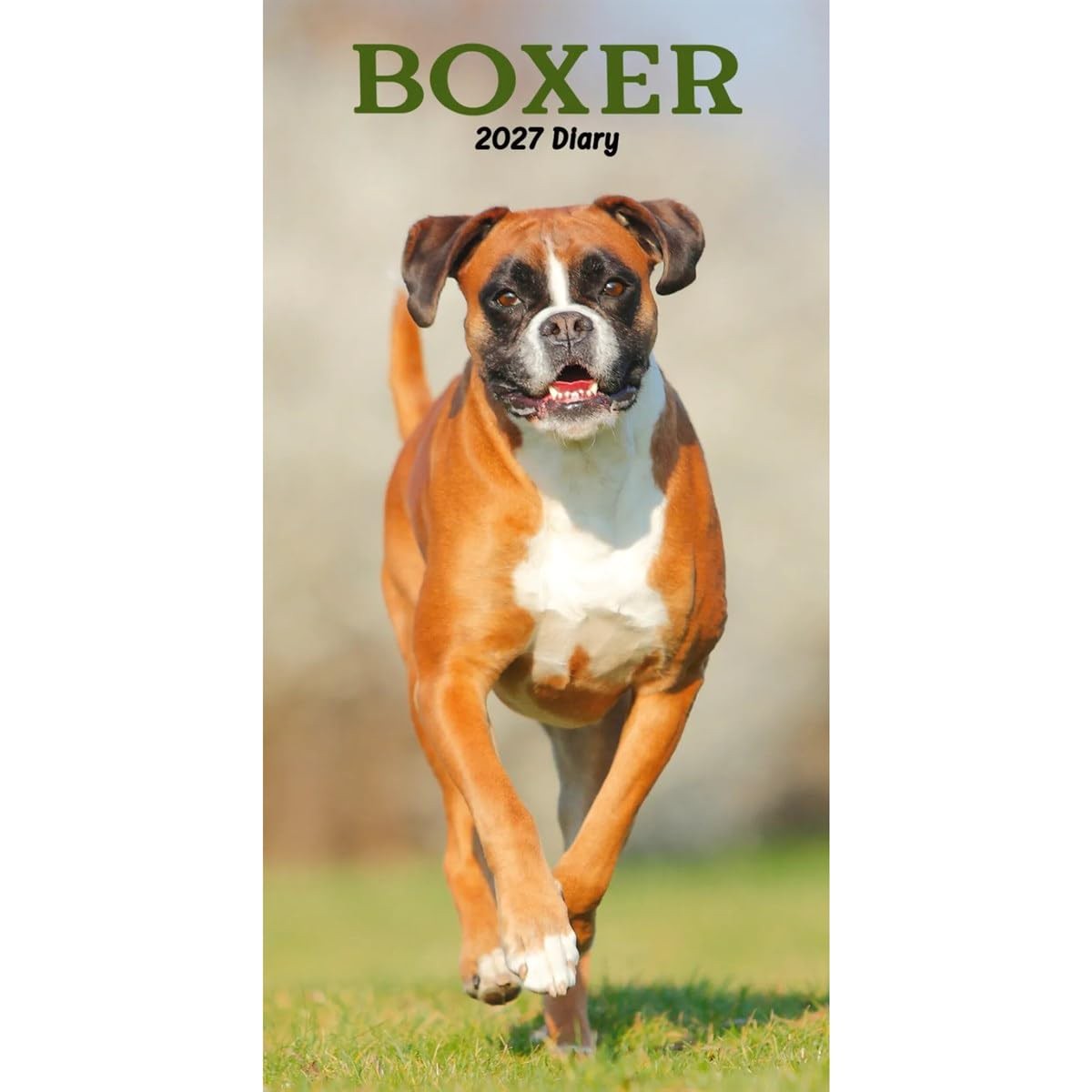 Carousel Worldwide 2027 Boxers Diary, Slim Week to View