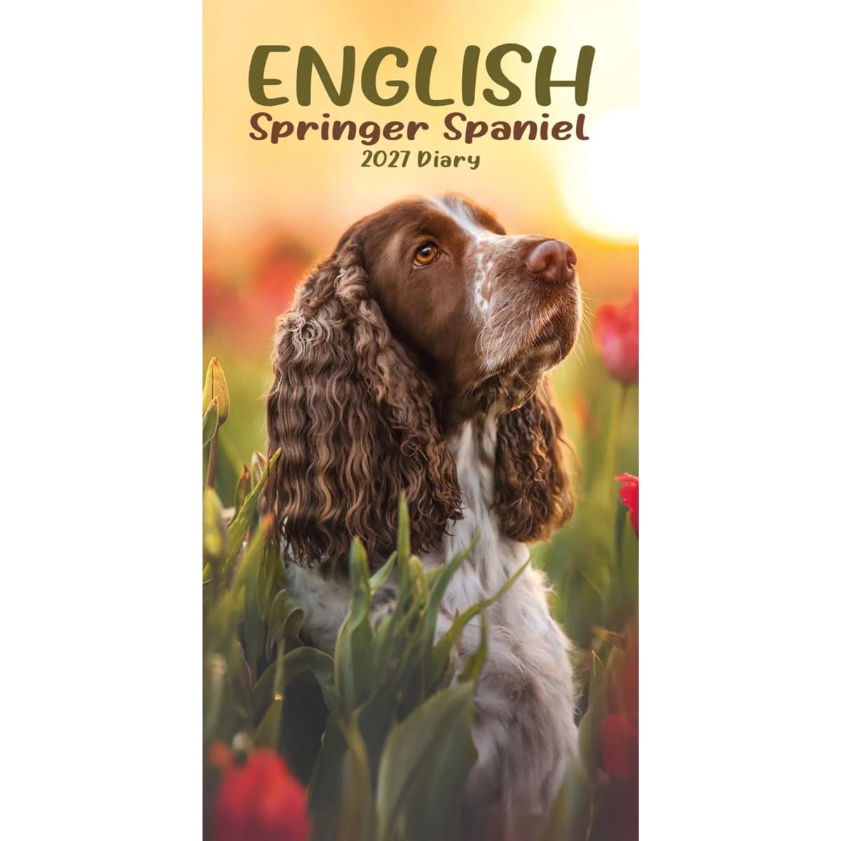 Carousel Worldwide 2027 English Springer Spaniels Diary, Slim Week to View
