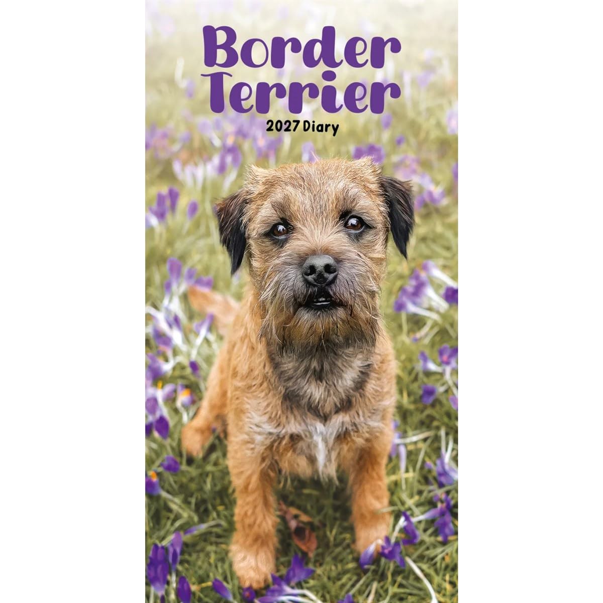 Carousel Worldwide 2027 Border Terriers Diary, Slim Week to View