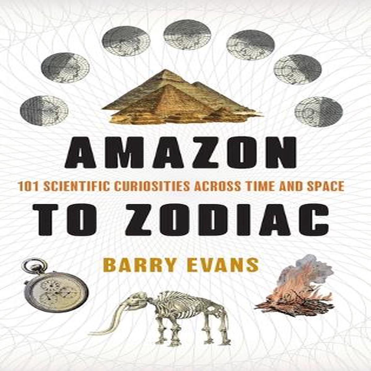 Amazon to Zodiac