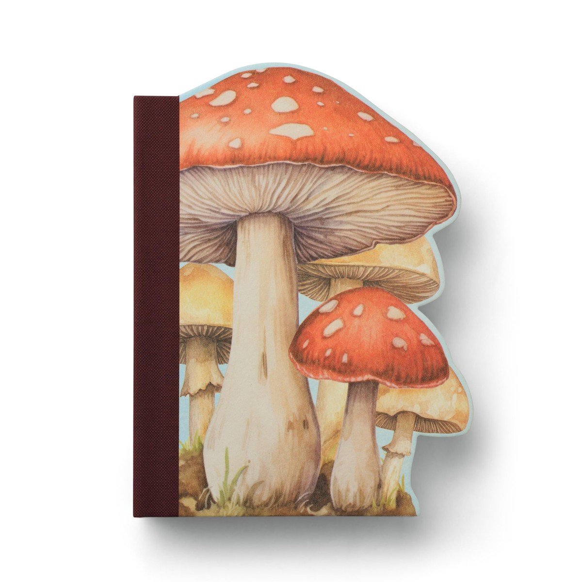 Hot Sale IF Eclectionery Notable Books