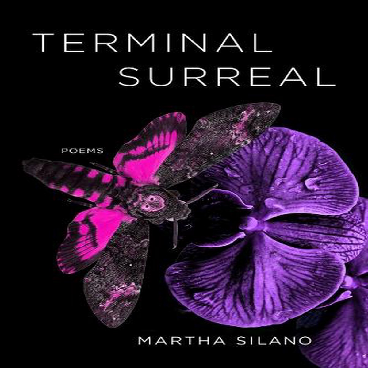 Terminal Surreal