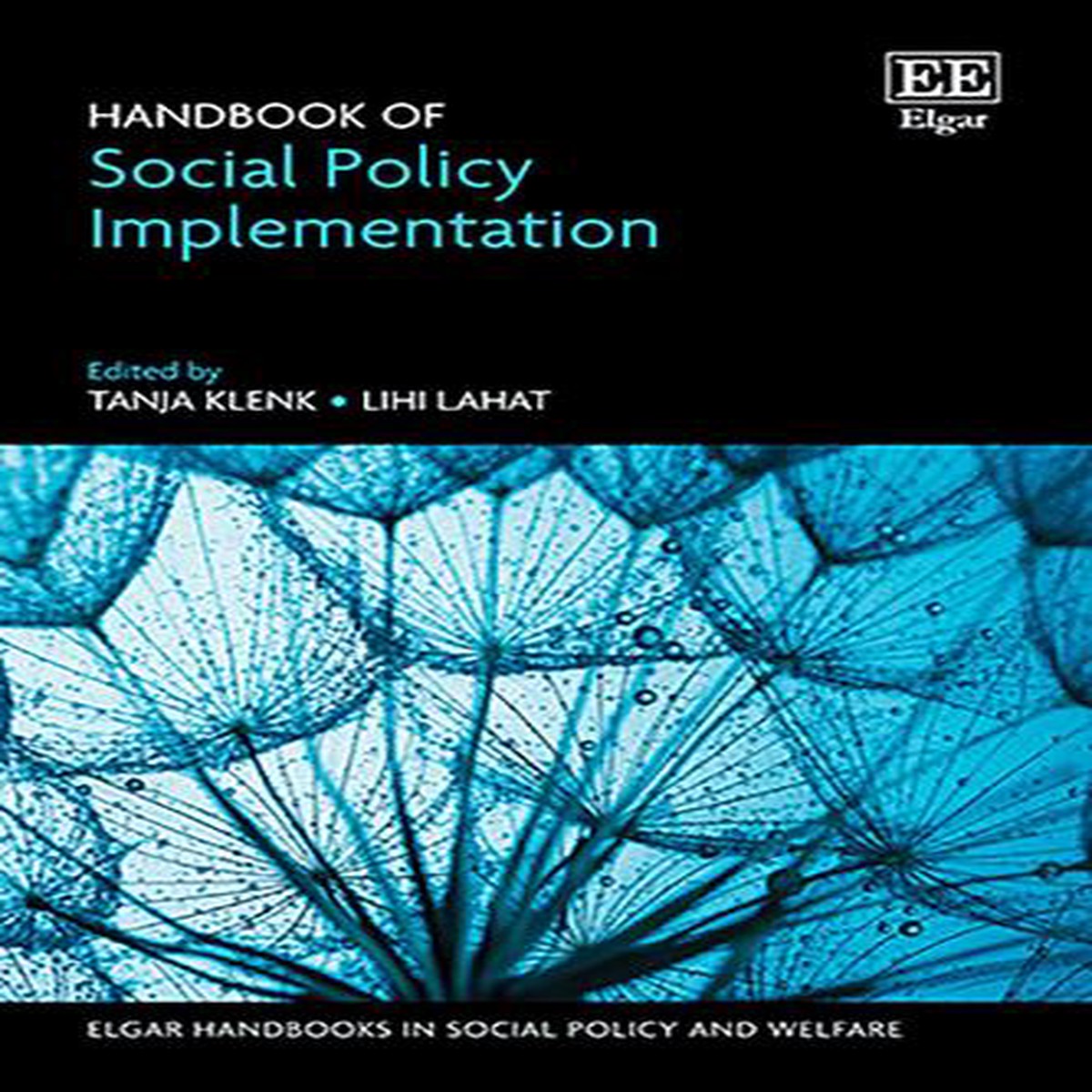 Handbook of Social Policy Implementation