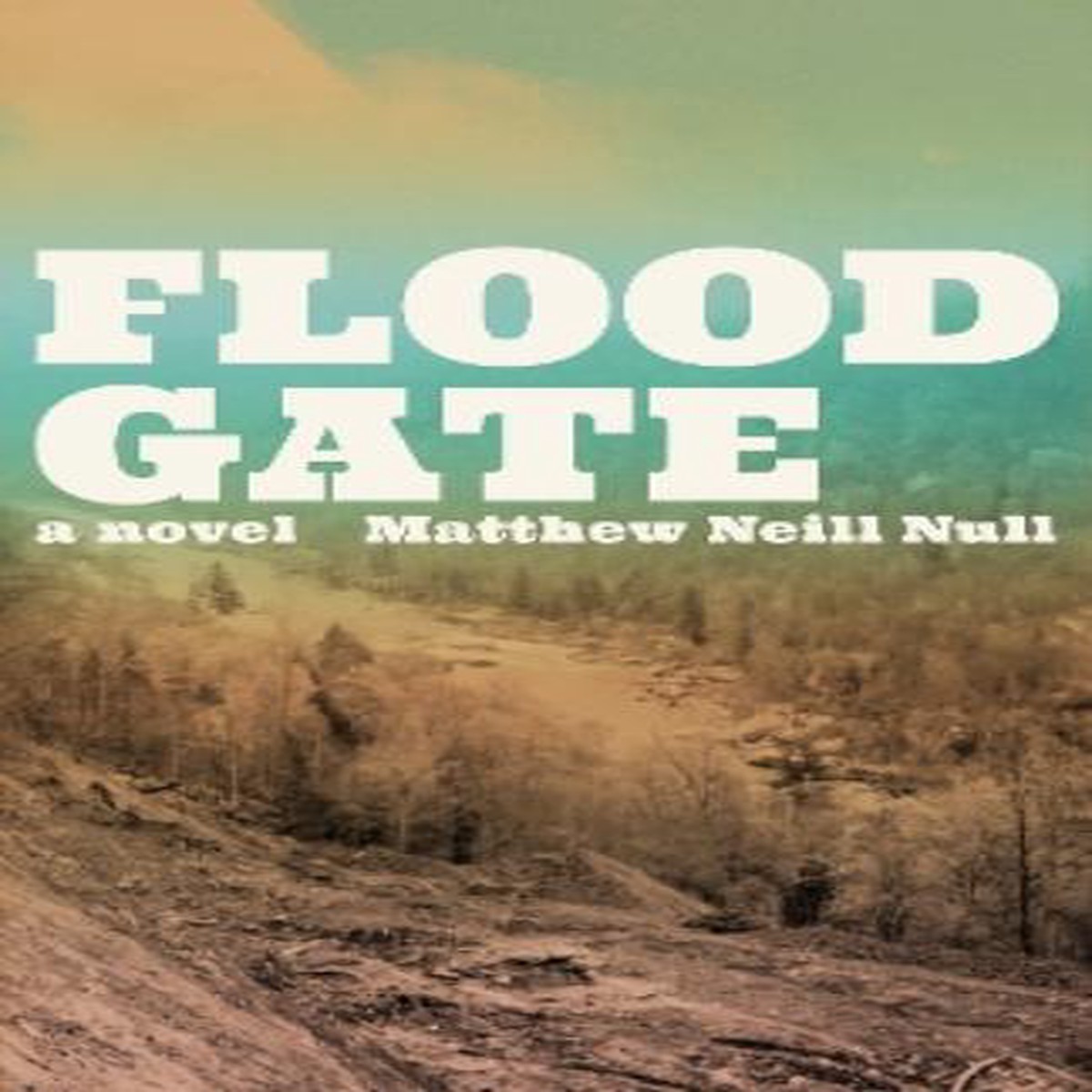 Floodgate