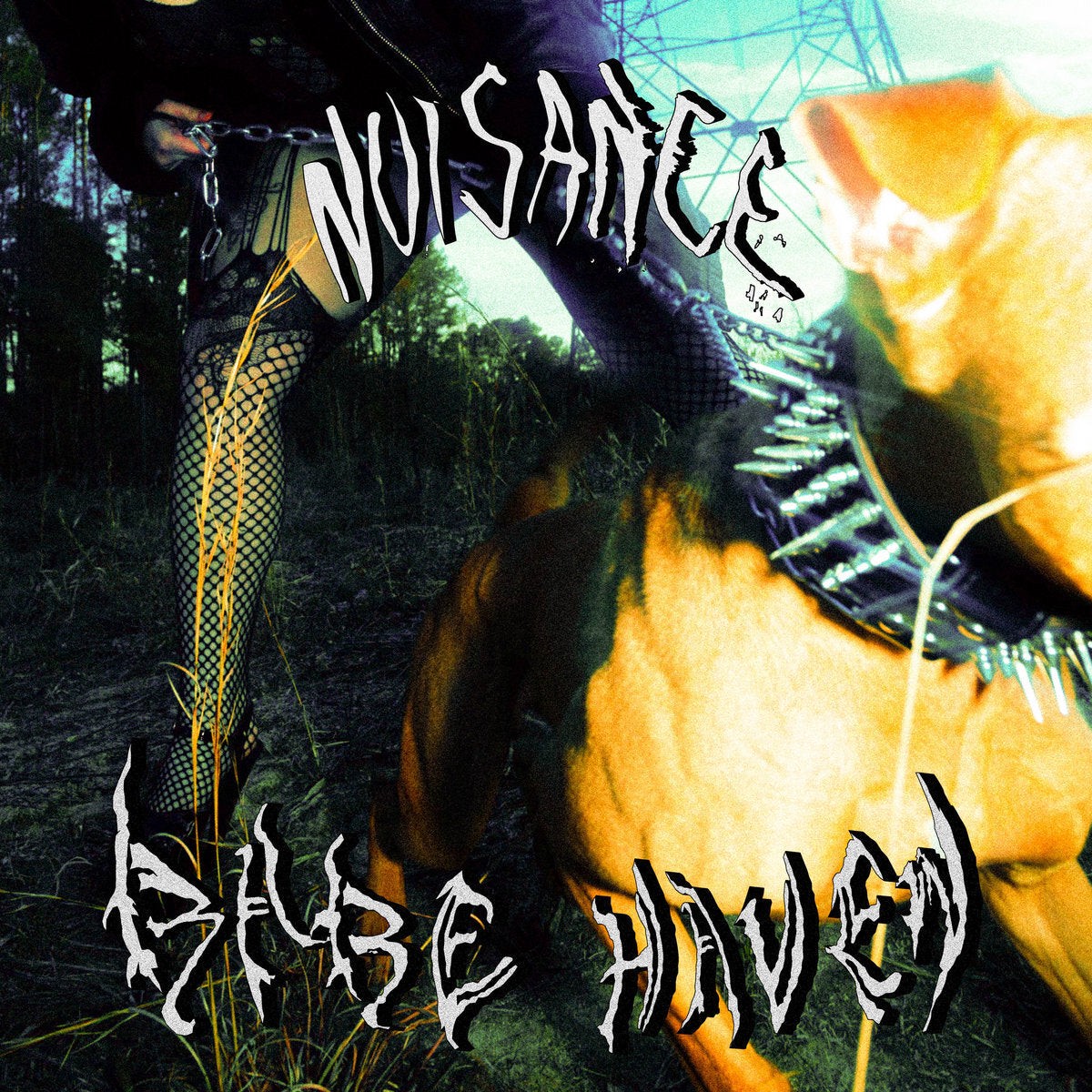 New Arrival Nuisance