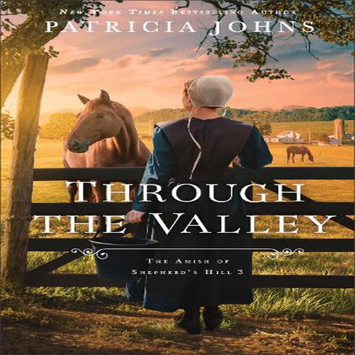 Through the Valley