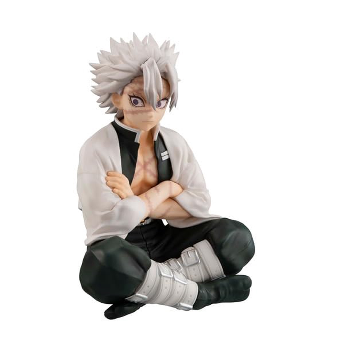 Demon Slayer Kimetsu No Yaiba G.E.M. Pvc Statue Shinazugawa-San Palm Size 9 Cm