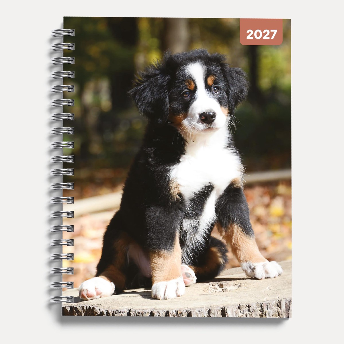Adorable Dogs 2027 A5 Spiral Diary, Week to View Planner – Hardcover With Elastic Closure, Ribbon Marker – 160mm x 196mm – By Red Robin Publishing