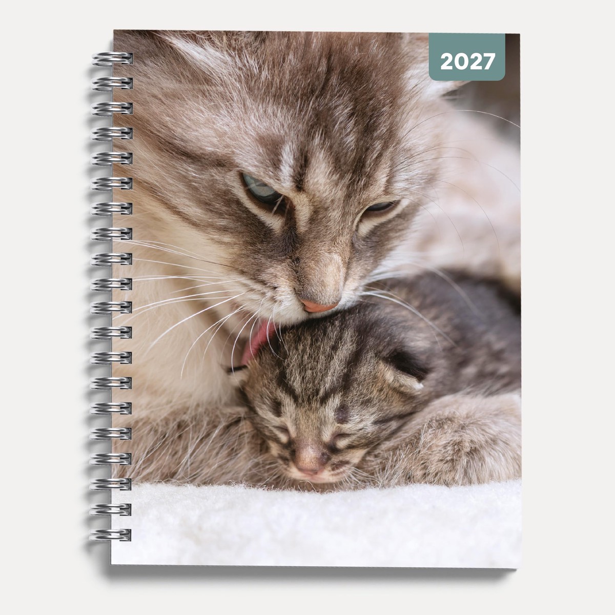 Cats & Kittens 2027 A5 Spiral Diary, Week to View Planner – Hardcover With Elastic Closure, Ribbon Marker – 160mm x 196mm – By Red Robin Publishing