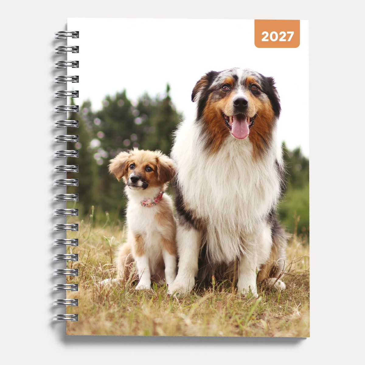 Dogs & Puppies 2027 A5 Spiral Diary, Week to View Planner – Hardcover With Elastic Closure, Ribbon Marker – 160mm x 196mm – By Red Robin Publishing